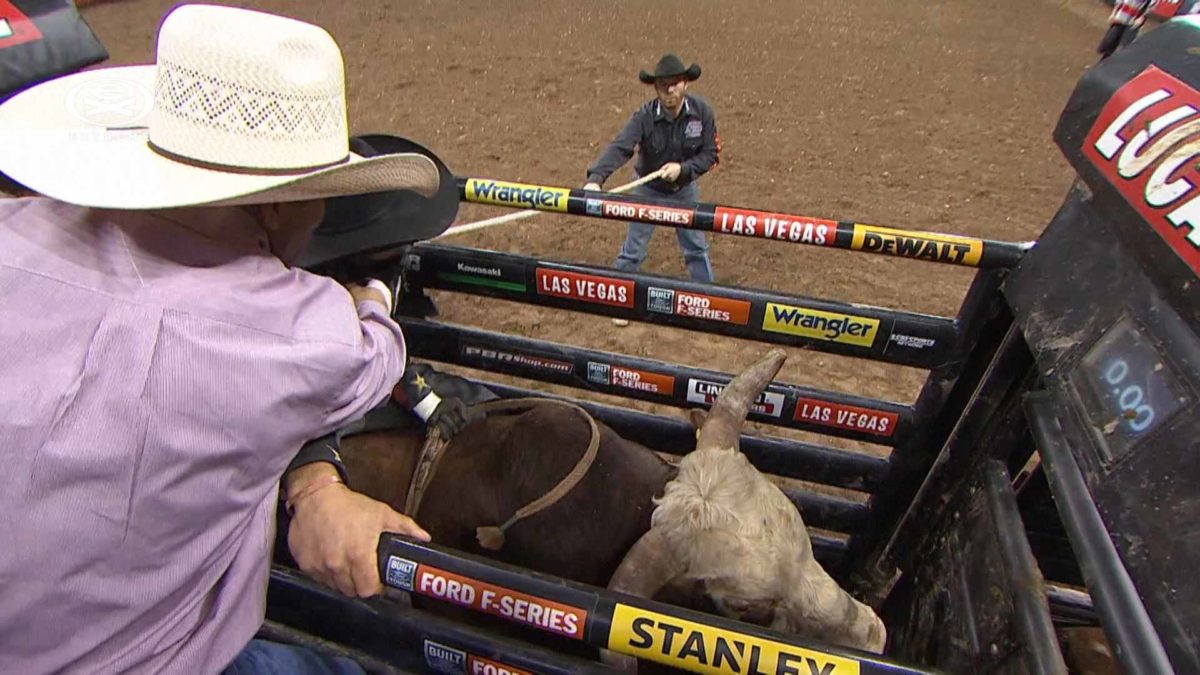 Pro Bull Riders - Extreme Sports
